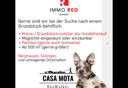 casa-mota-grundstueck